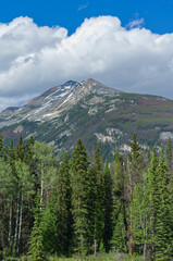 Mountain Landscapes of Jasper National Park