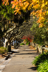 オーストラリア　ニューサウスウェールズ州のレウラの街並み