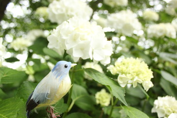 フェイクの青い鳥と白い紫陽花