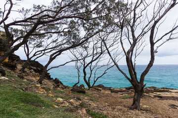 Fototapeta na wymiar オーストラリア　クイーンズランド州のノース・ストラドブローク島のノース・ゴージ・ウォークから見える海