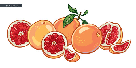 sketch_grapefruit_a_big_pile_of_fruit