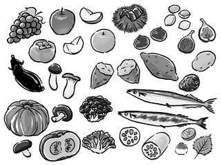 Japanese Autumn Food Watercolor Vector Art 手描き風秋の味覚　秋の食べ物セット　モノクロ