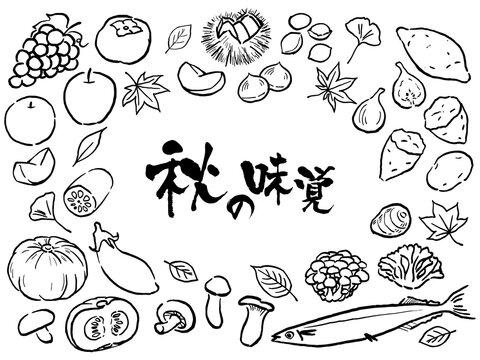 60 Best ぶどう イラスト 白黒 Images Stock Photos Vectors Adobe Stock