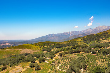 Obraz premium Mountain landscape with green tree crops.