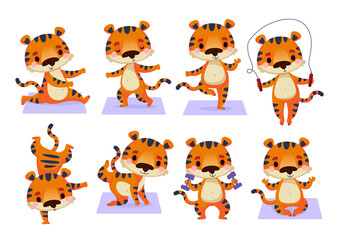 Obraz premium A set of cute tigers who go in for sports, yoga and fitness. The tiger stands in different assana poses and monitors its health. Cartoon cheerful character, symbol of 2022 new year. Isolate on white