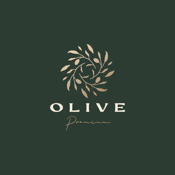 olive branch sophisticated aesthetic logo vector icon illustration