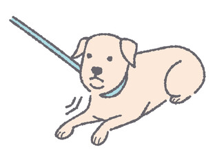 動こうとしない犬のイラスト