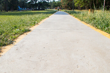 Trees and sidewalk in park