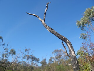 Park in Adelaide