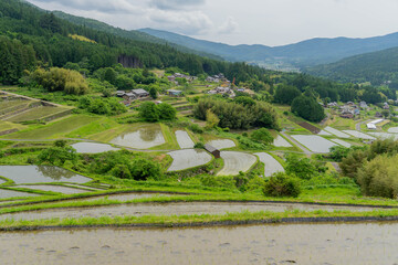 坂折棚田