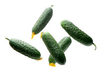 Flying cucumbers on white background