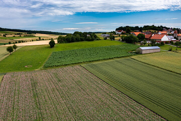 Fototapeta na wymiar Farmland and agriculture at Grandenborn in Hesse