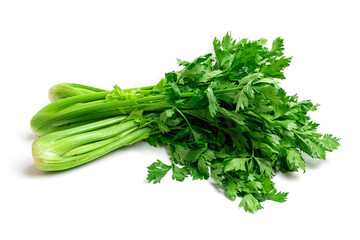 Fresh Celery isolated on white background.