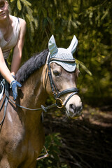 Obraz premium Mensch & Pferd