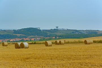 Landscape with cylindrical hay bales on a field in Wimereux, France