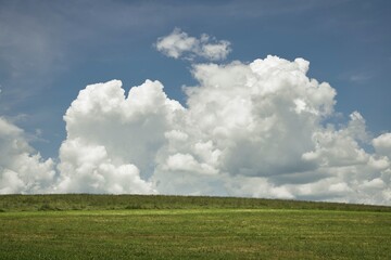 Naklejka premium a large green field with clouds in the sky, Bavaria, Germany