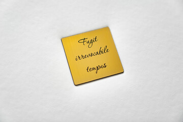close up. white book in leather with gold insert with inscription in latin