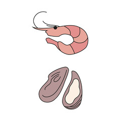 Set of seafood. Shrimp and oyster. Isolated flat vector illustration on white background