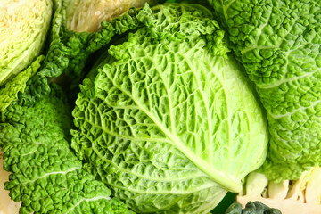 Fresh savoy cabbage as background, closeup