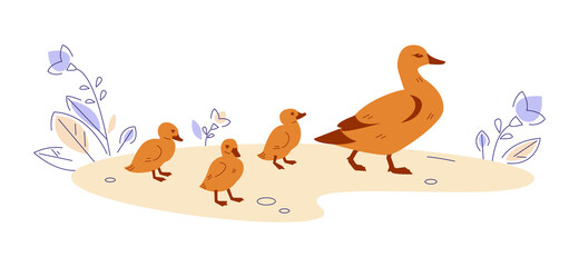 Mother duck with ducklings in nature. Vector illustration in flat cartoon style.