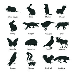 Woodland animals in silhouette stock illustration. Wood mouse, here, marmot, weasel, bunny, badger, pheasant, wolf, butterfly, hedgehog, pigeon, moose, raven, skunk, squirrel, red fox.