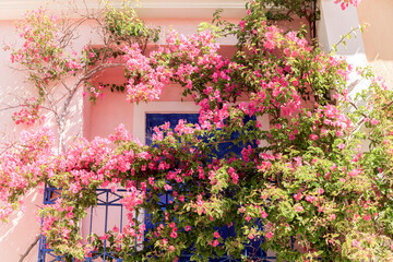 Fototapeta na wymiar Typical house in the greek village Assos. Kefalonia, Greek Islands, Greece