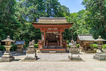 Fototapeta premium 苗村神社
