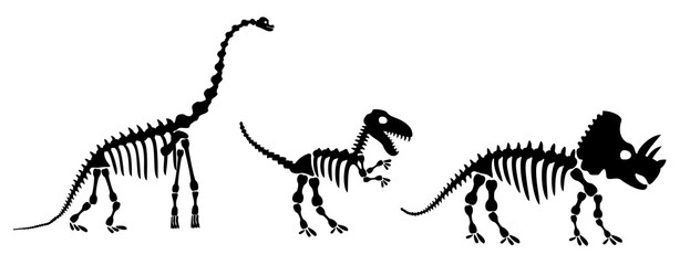 Dinosaur silhouettes set. Silhouette of dinosaur skeletons, dinosaur bones. Diplodocus, Tyrannosaurus rex, Triceratops. Modern vector flat design image isolated on white background.