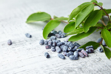 Honeysuckle (Lonicera caerulea) berries and fresh leaves on grey wooden table