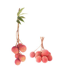 Fresh lychees isolared on white background with clipping path