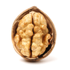 walnuts on a white background