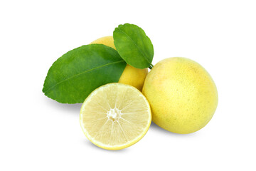 Lemon fruit with leaf isolated on white background