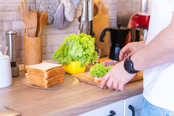 man making sandwich on the kitchen