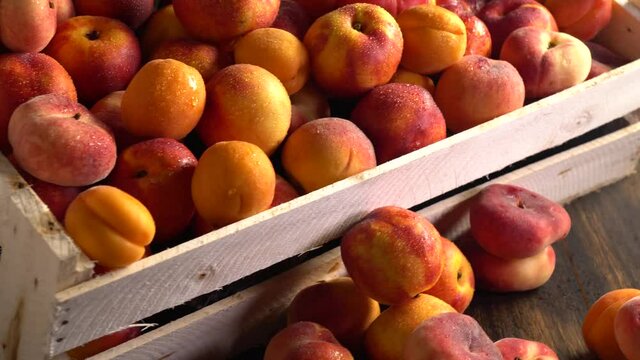 Box of wet exotic peaches and nectarines