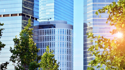 Eco architecture. Green tree and glass office building. The harmony of nature and modernity. Reflection of modern commercial building on glass with sunlight. 