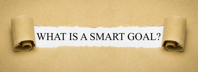 What is a smart goal?
