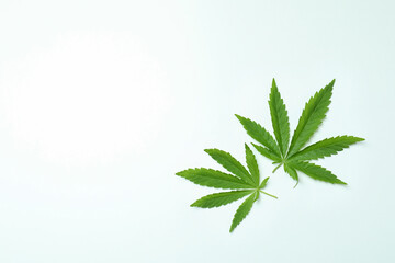 Two green cannabis leaves on white background