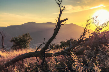 Monte Pellegrino Mountain on a warm summer evening on Sicily in Italy, Europe