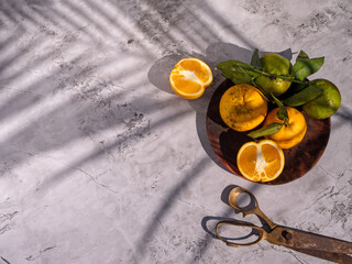 Summer sunny still life. Orange with green foliage on a Plate and white stone background, vintage scissors. Long shadows from a palm branch, neutral color palette. Copy space