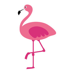 Pink flamingo on white background. Vector illustration.
