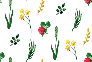 Fototapeta na wymiar seamless pattern wild herbs aqua on white backdrop. Cover design for decorative design. Seamless vector texture.