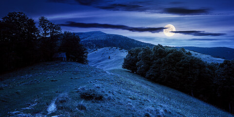 beautiful ukrainian countryside at night. grassy meadows and hills under dark sky. trees on the hill in full moon light