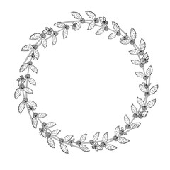 White horehound, border frame dd ww herb