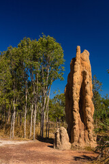 オーストラリア　リッチフィールド国立公園のマグネティック・ターマイト・マウンズのカテドラル・ターマイト・マウンズ