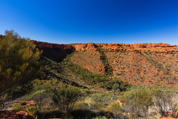 オーストラリア　ノーザンテリトリーにあるワタルカ国立公園内のキングス・キャニオンの風景