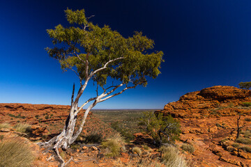 オーストラリア ノーザンテリトリーにあるワタルカ国立公園内のキングス・キャニオン
