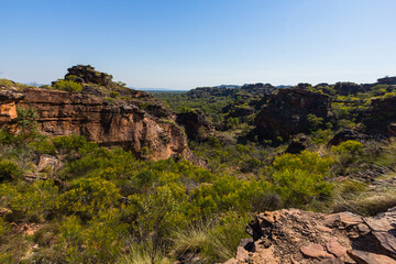 Fototapeta na wymiar オーストラリア　西オーストラリア州のカナナラのミリマ国立公園