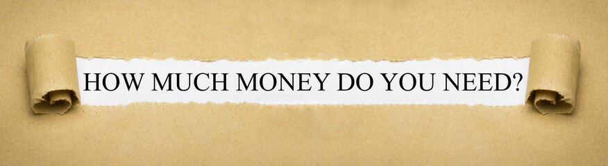How much money do you need? - obrazy, fototapety, plakaty