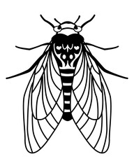 Cicada with folded wings. Flying insect - fly, bee, butterfly, cicada. Abstract illustration. Linear style. Black outline drawing isolated on white background. Fly icon, logo, clipart