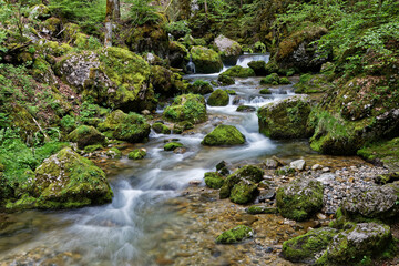 Along the mountain creek in Cirque de Saint-Meme